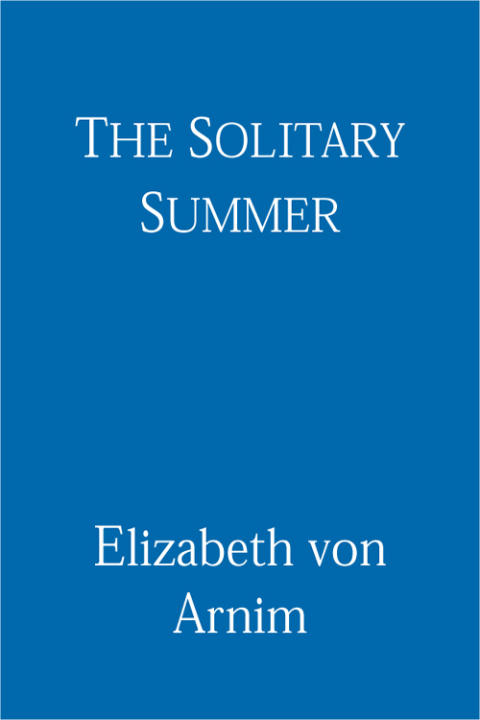 Cover image for book The Solitary Summer