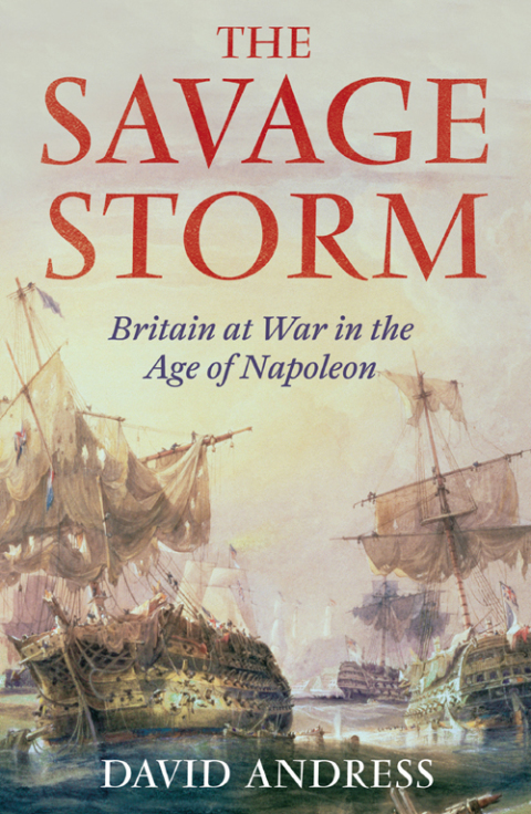 Cover image for book The Savage Storm