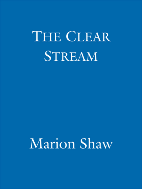 Cover image for book The Clear Stream