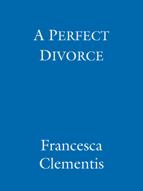Cover image for book A Perfect Divorce