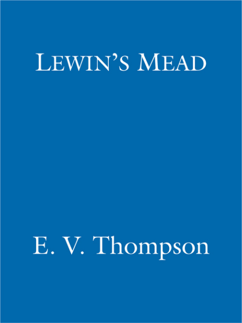 Cover image for book Lewin's Mead