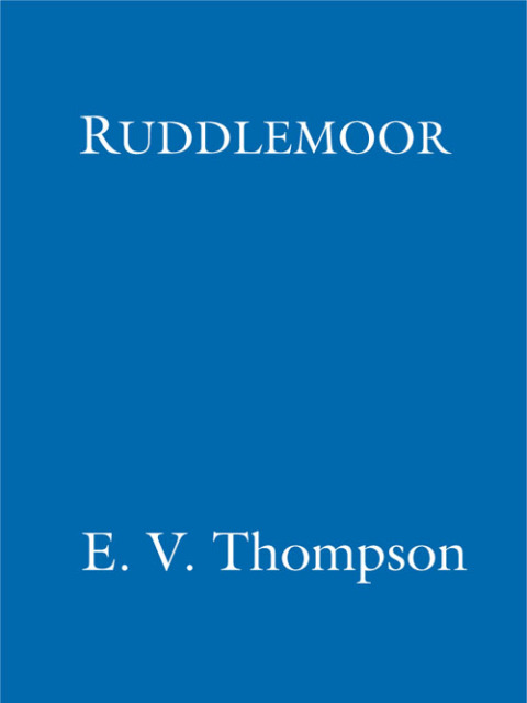 Cover image for book Ruddlemoor