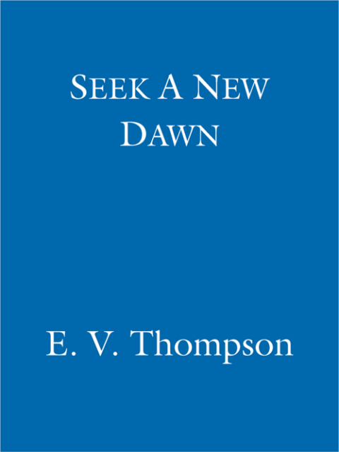 Cover image for book Seek A New Dawn