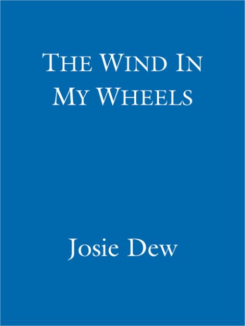 Cover image for book The Wind In My Wheels