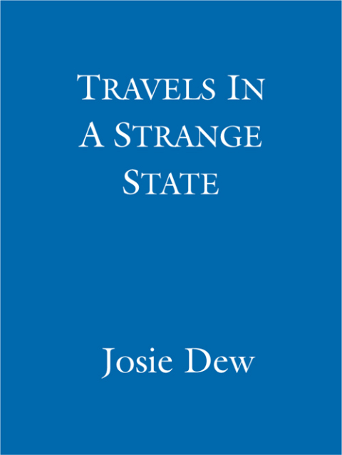 Cover image for book Travels In A Strange State