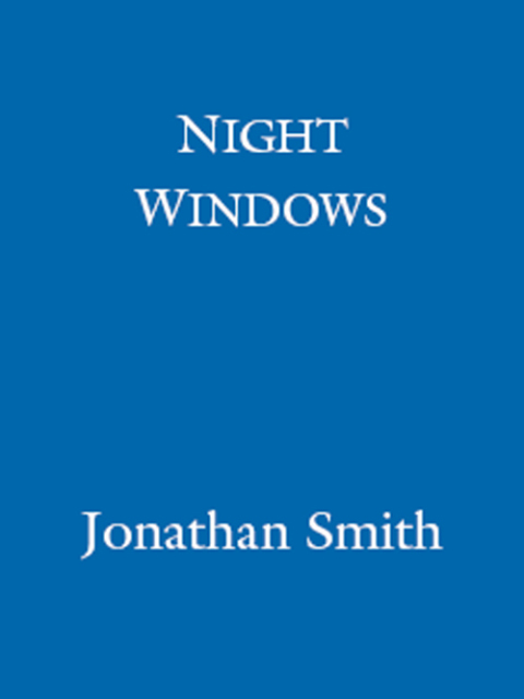 Cover image for book Night Windows