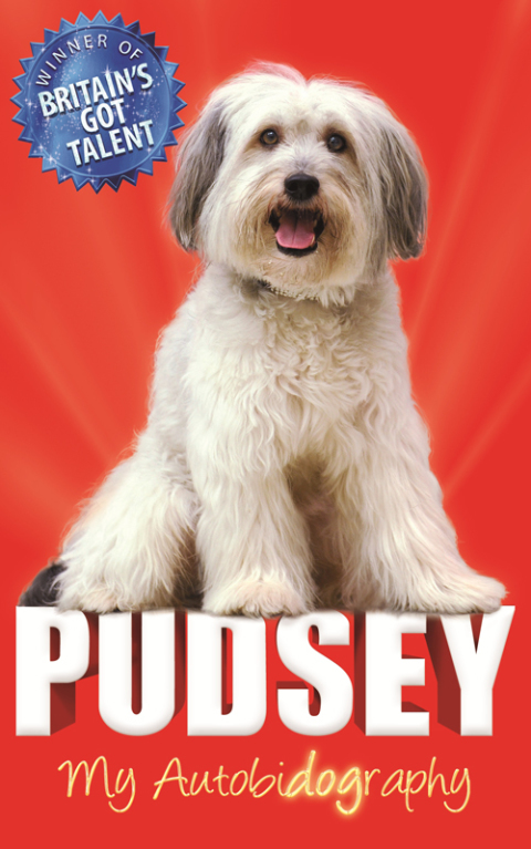 Cover image for book Pudsey