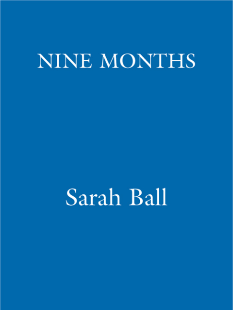 Cover image for book Nine Months