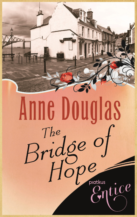 Cover image for book Bridge Of Hope