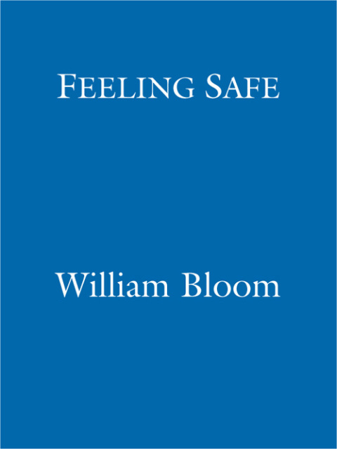 Cover image for book Feeling Safe