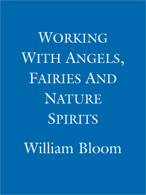 Cover image for book Working With Angels, Fairies And Nature Spirits