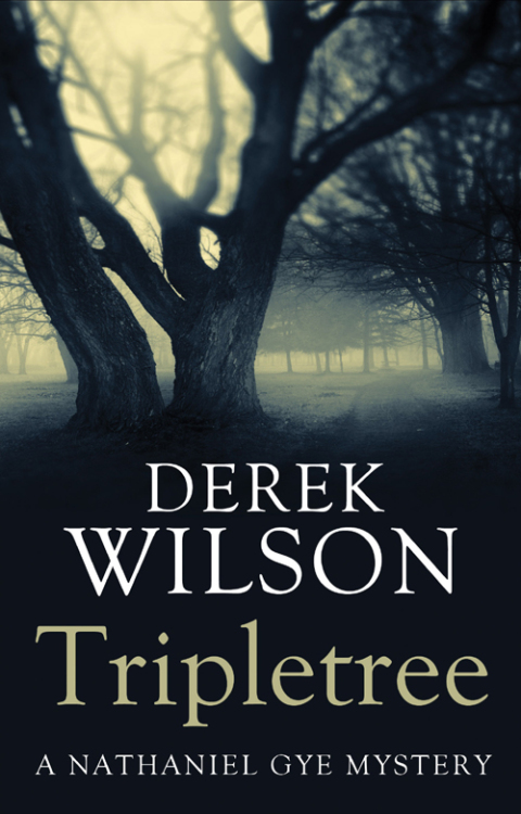 Cover image for book Tripletree