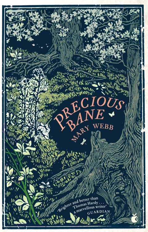 Cover image for book Precious Bane