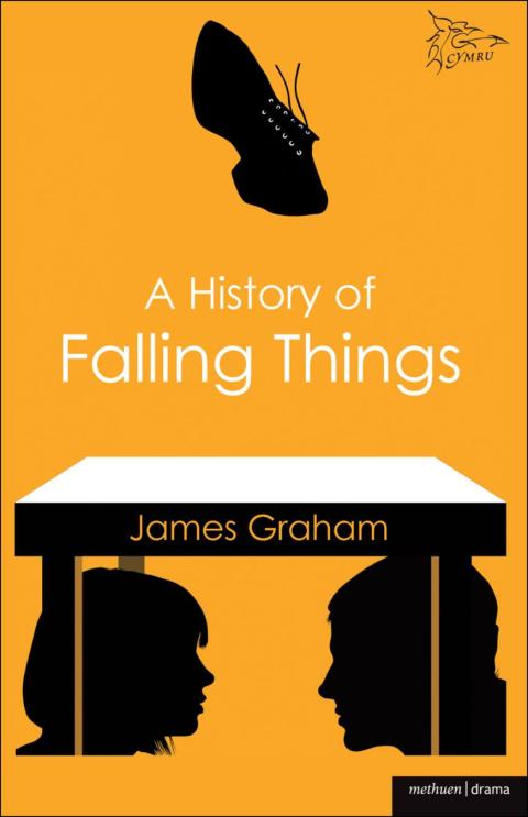 Cover image for book A History of Falling Things