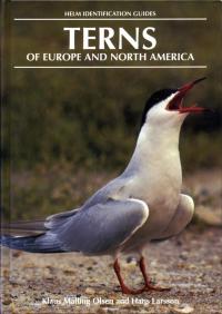 Titelbild: Terns of Europe and North America 1st edition 9780713640564