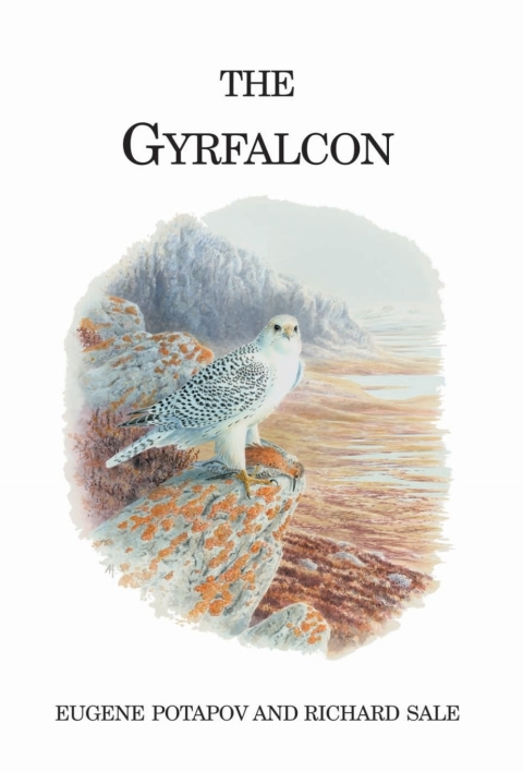 The Gyrfalcon 