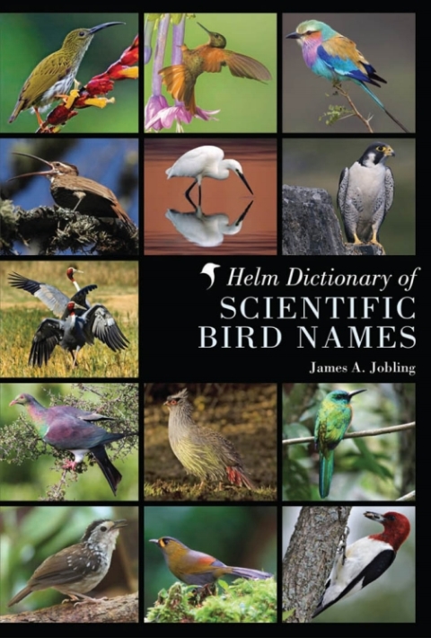 Cover image for book Helm Dictionary of Scientific Bird Names