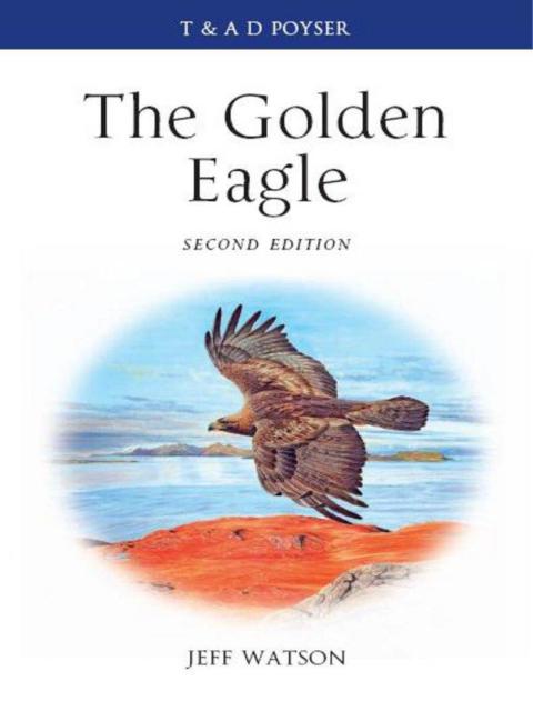 Cover image for book The Golden Eagle
