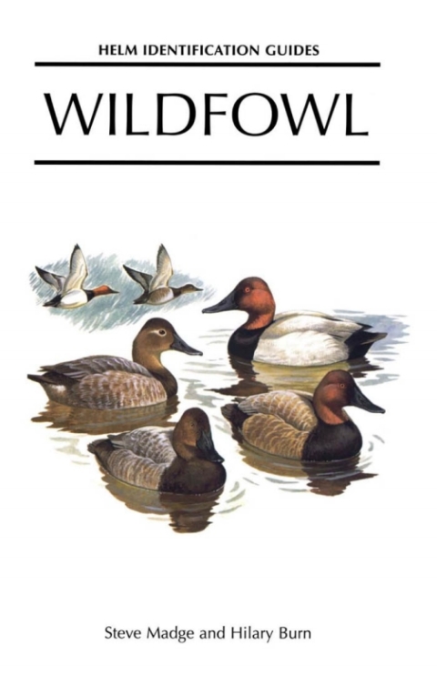 Wildfowl 
