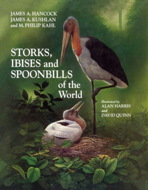 Storks, Ibises and Spoonbills of the World 