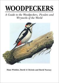 Cover image: Woodpeckers 1st edition 9781408135044