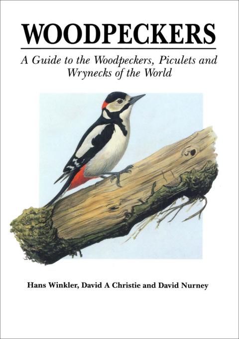 Woodpeckers 