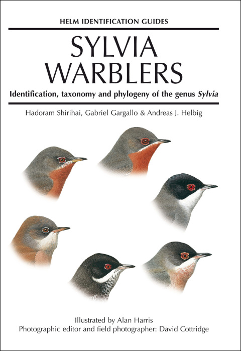 Sylvia Warblers 