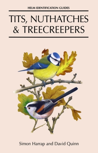 Tits, Nuthatches and Treecreepers