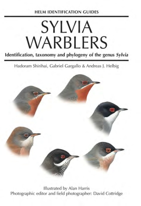 Sylvia Warblers 