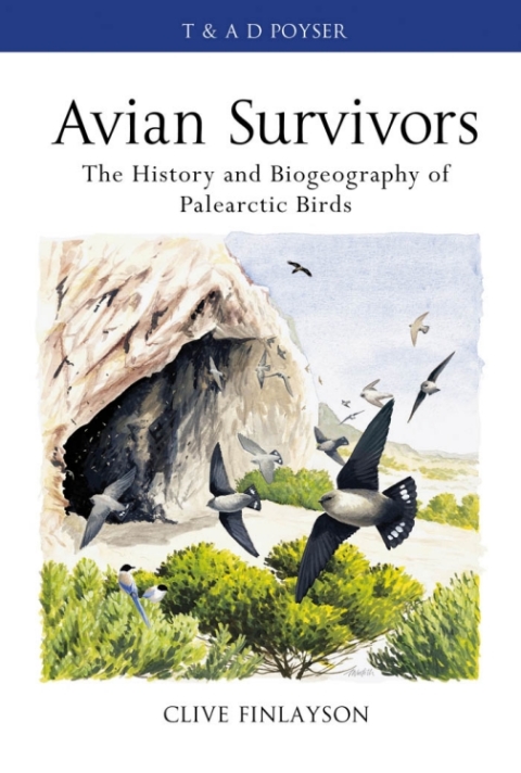 Avian survivors 