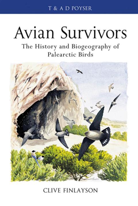 Avian survivors 
