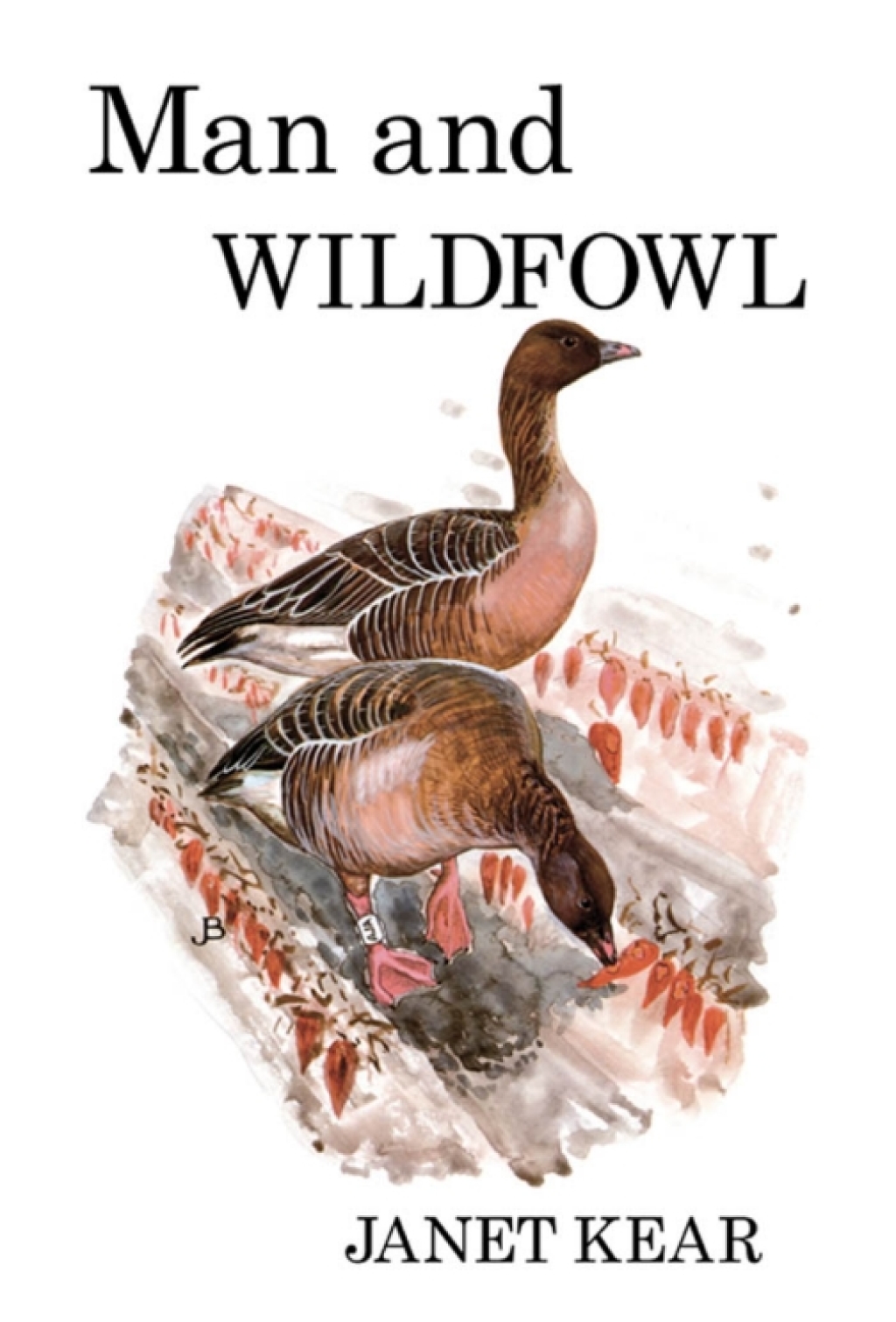 Man and Wildfowl - 1st Edition (eBook)