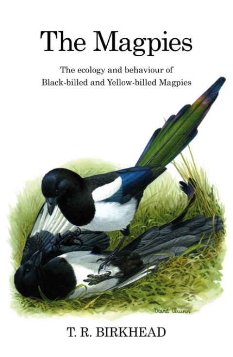 The Magpies: The Ecology and Behaviour of Black-Billed and Yellow-Billed Magpies 
