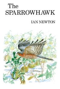 Titelbild: The Sparrowhawk 1st edition 9781408138342