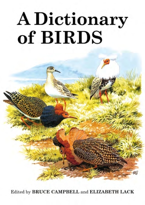 A Dictionary of Birds 
