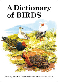 Titelbild: A Dictionary of Birds 1st edition 9781408138403