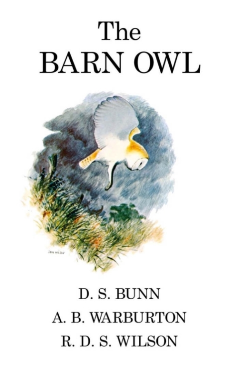 The Barn Owl 