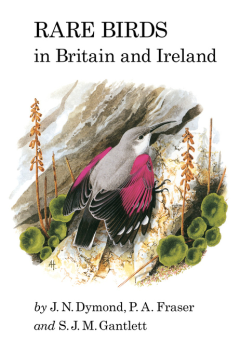 Rare Birds in Britain and Ireland 