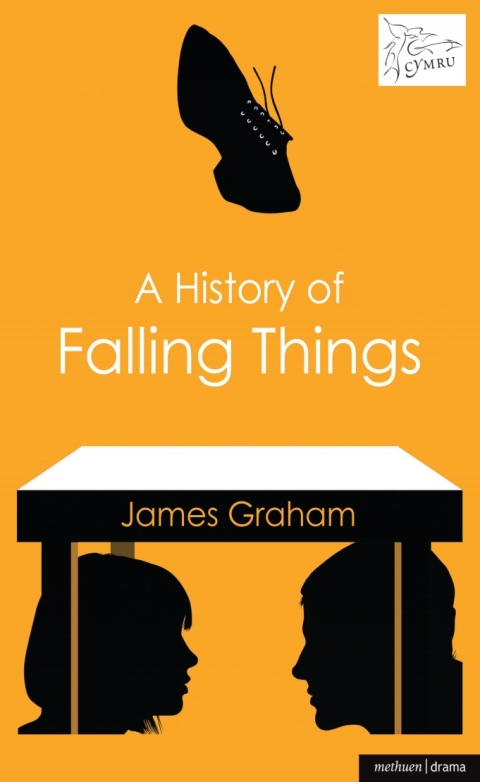 Cover image for book A History of Falling Things