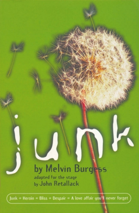 Cover image for book Junk