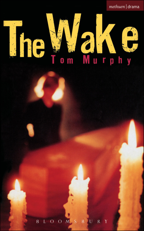 Cover image for book The Wake