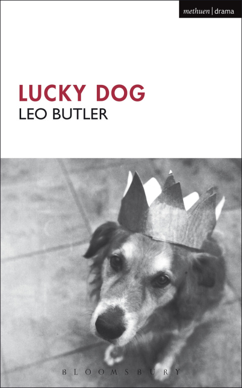 Cover image for book Lucky Dog
