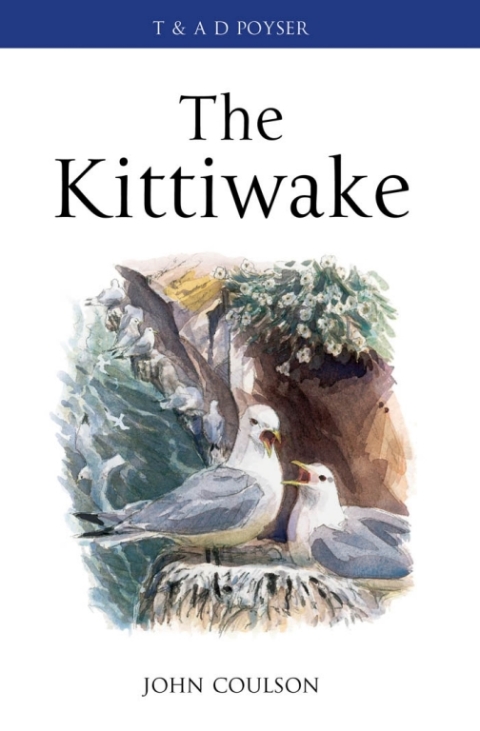 Cover image for book The Kittiwake