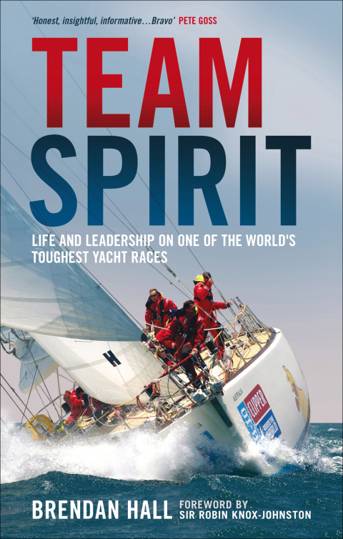 Cover image for book Team Spirit