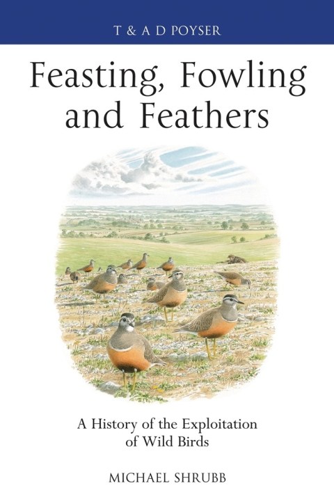 Cover image for book Feasting, Fowling and Feathers