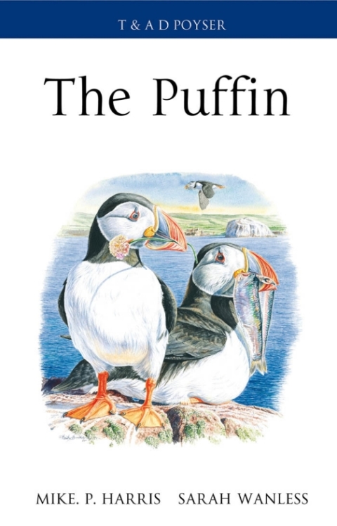 The Puffin 
