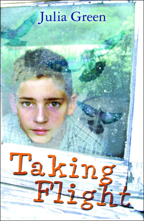 Cover image for book Taking Flight