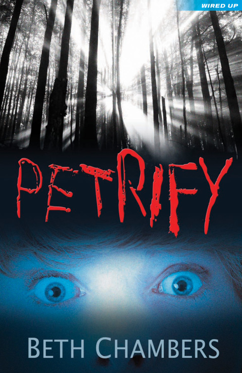 Cover image for book Petrify