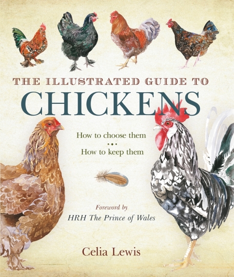 Cover image for book The Illustrated Guide to Chickens