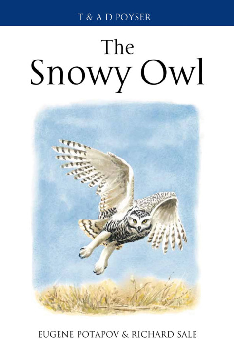 The Snowy Owl 